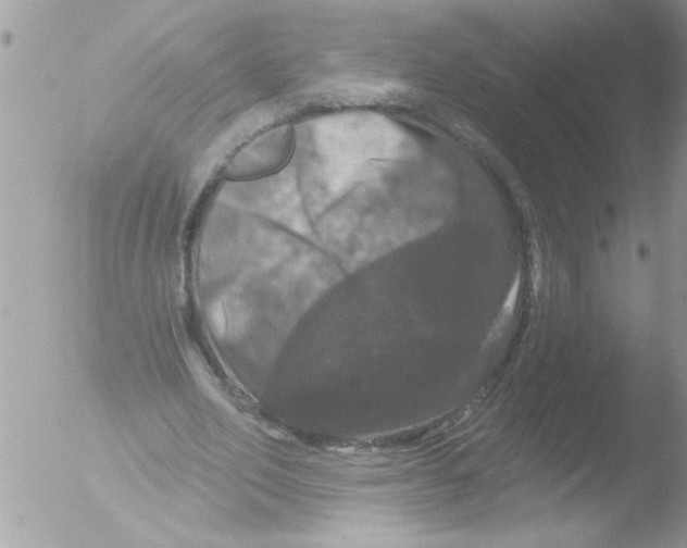 X0000051260582200507152218