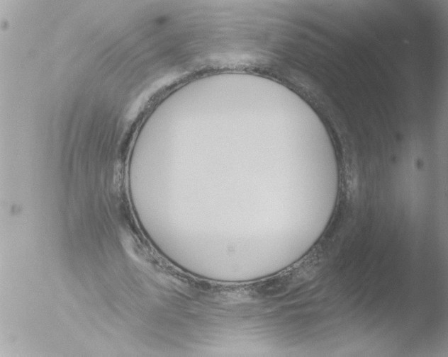 X0000051260583200507152218