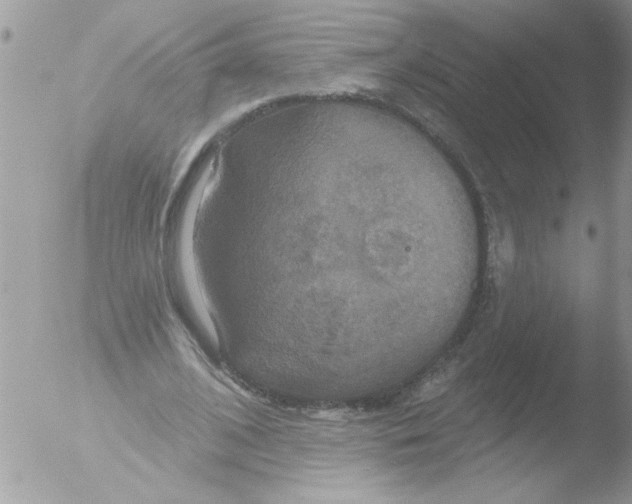 X0000051260584200507152218