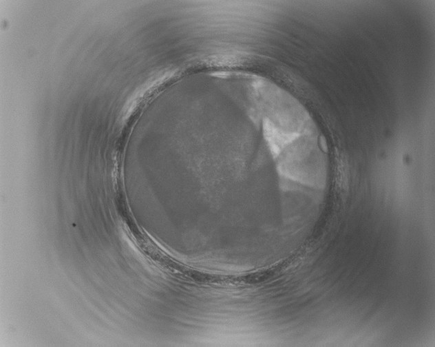 X0000051260586200507152218