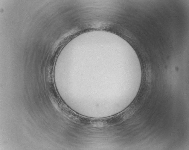 X0000051260587200507152218