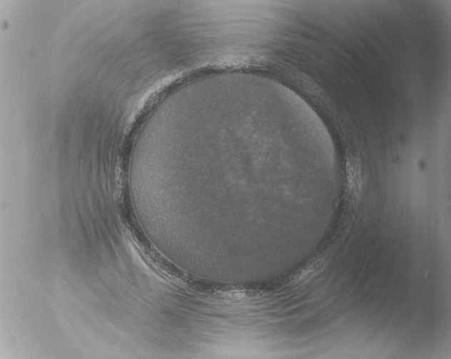 X0000051260588200507152218