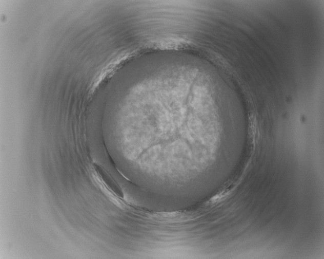 X0000051260589200507152218