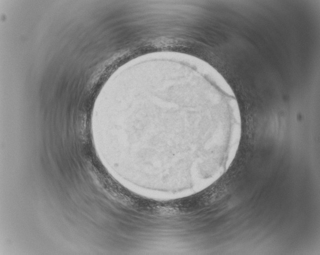 X0000051260592200507152218