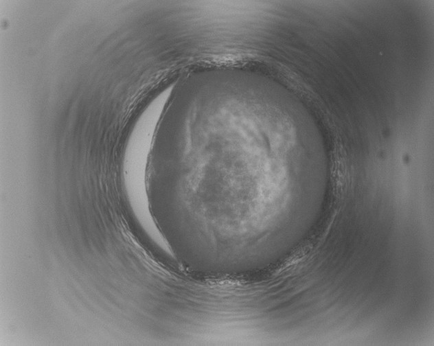 X0000051260593200507152218