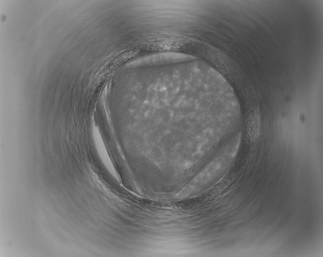 X0000051260594200507152218