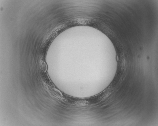 X0000051260595200507152218