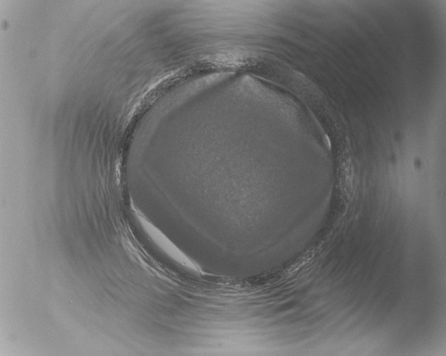 X0000051260596200507152218