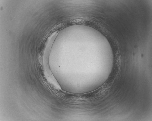 X0000051260597200507152218