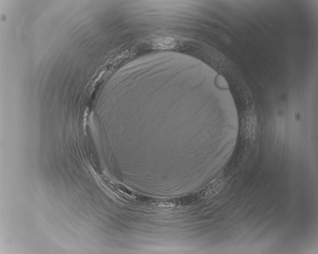 X0000051260598200507152218