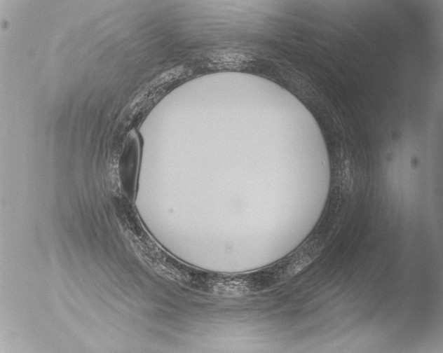 X0000051260599200507152218