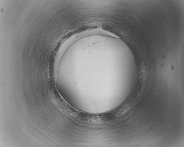 X0000051260600200507152218