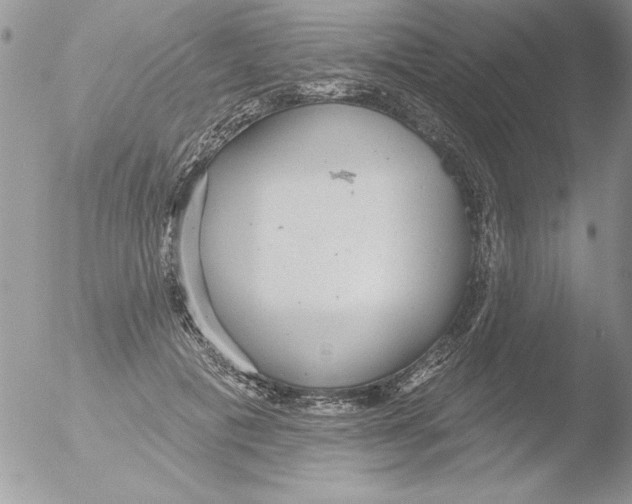 X0000051260601200507152218