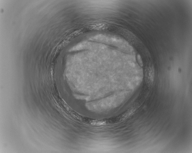 X0000051260602200507152218