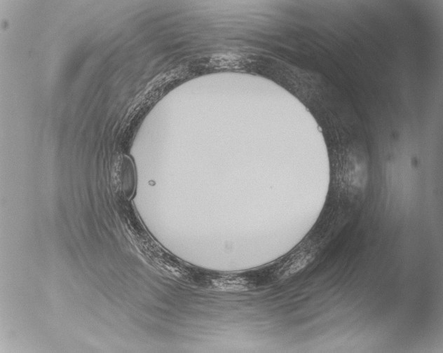 X0000051260603200507152217