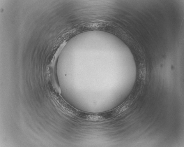 X0000051260605200507152217