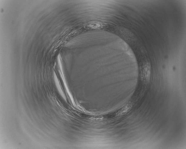 X0000051260606200507152217