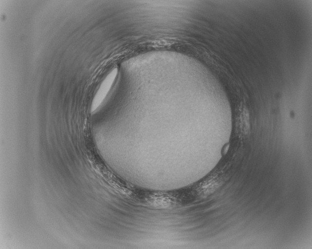 X0000051260608200507152217