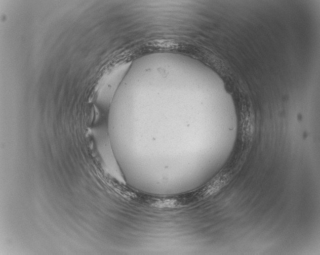 X0000051260609200507152217