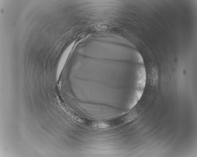 X0000051260610200507152217