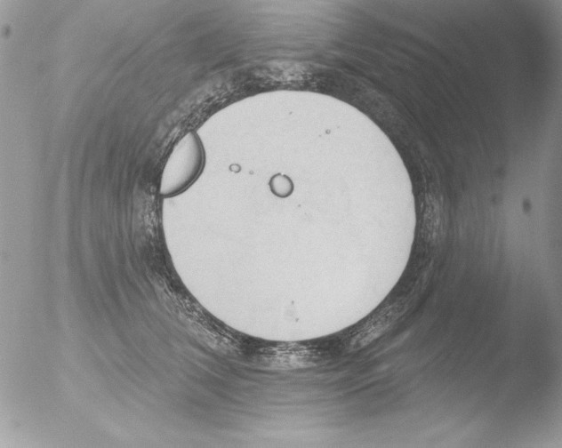 X0000051260612200507152217