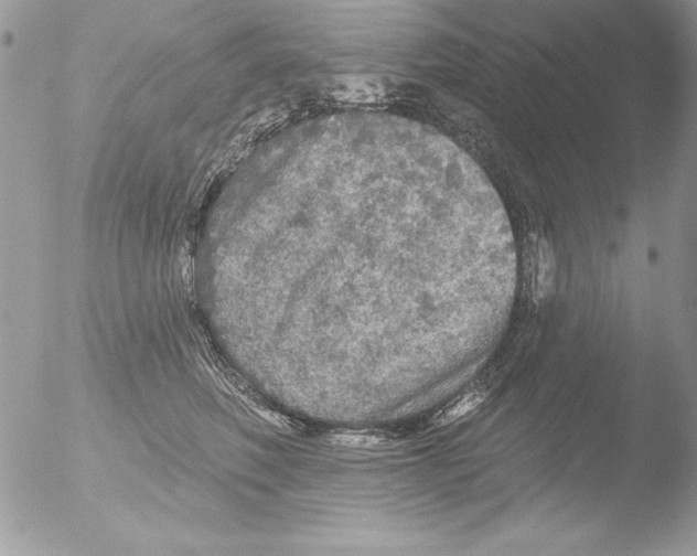 X0000051260614200507152217