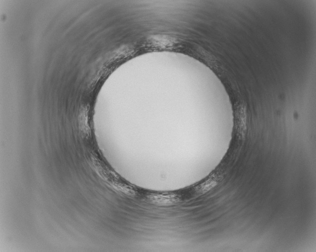 X0000051260615200507152217