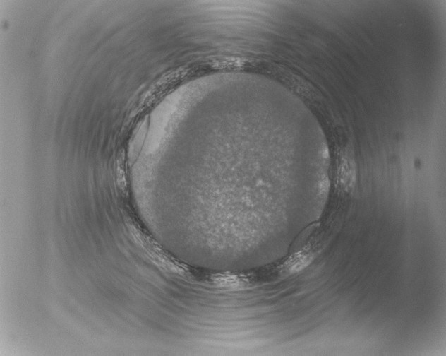 X0000051260616200507152217