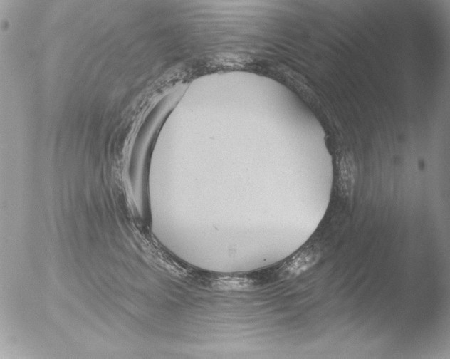 X0000051260617200507152217