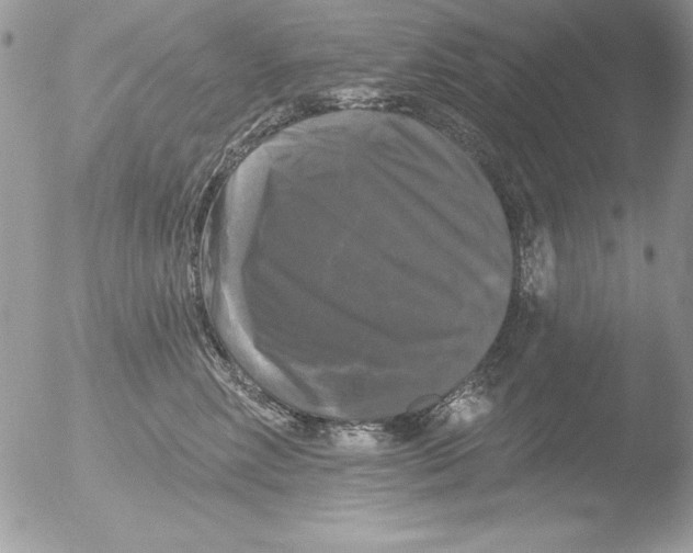 X0000051260618200507152217