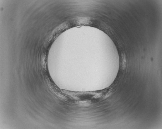 X0000051260619200507152217