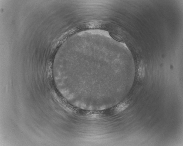 X0000051260620200507152217