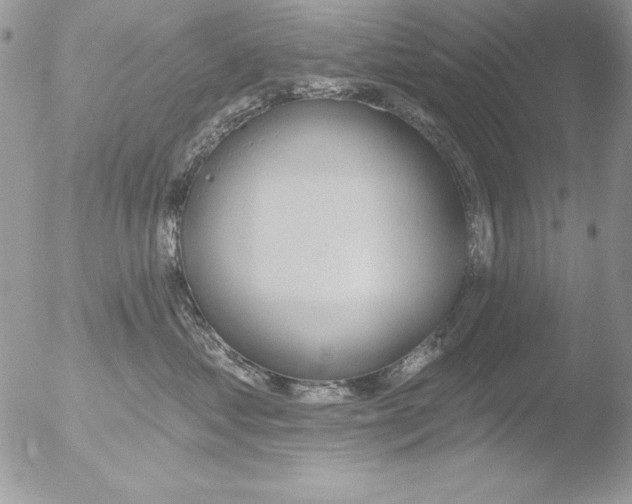 X0000051260621200507152217