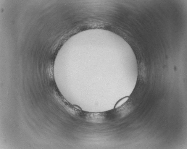 X0000051260622200507152217