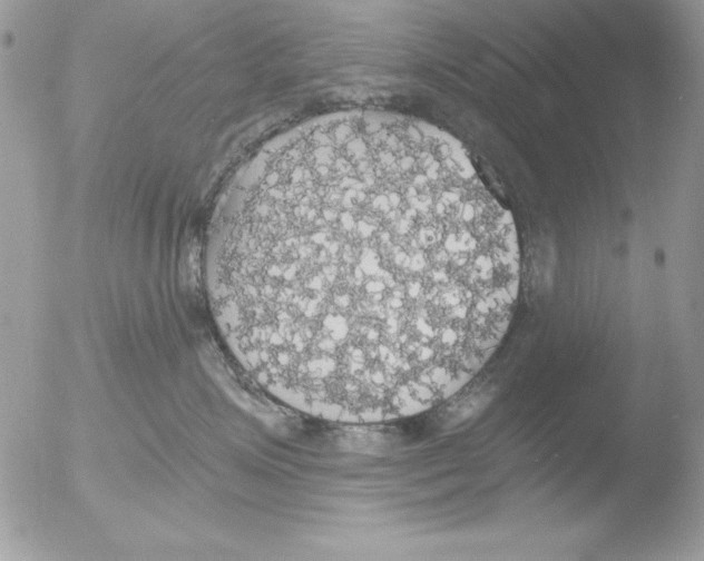 X0000051260623200507152217