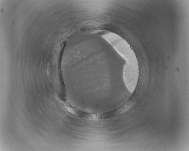 X0000051260624200507152217