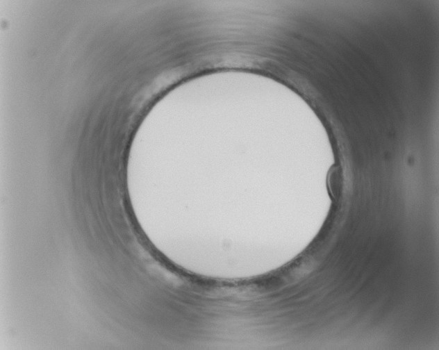 X0000051260625200507152216