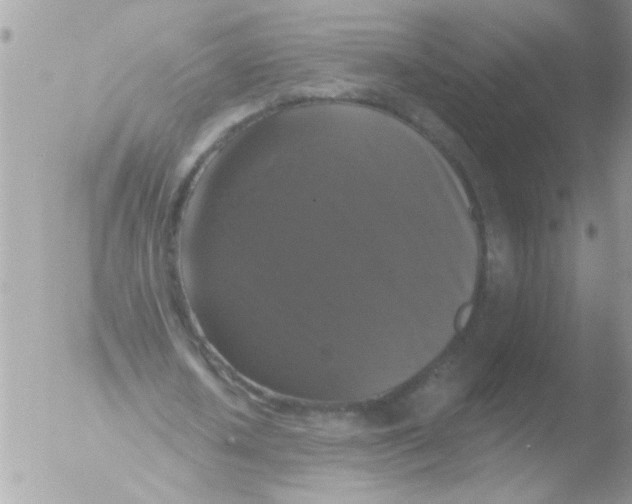 X0000051260626200507152216