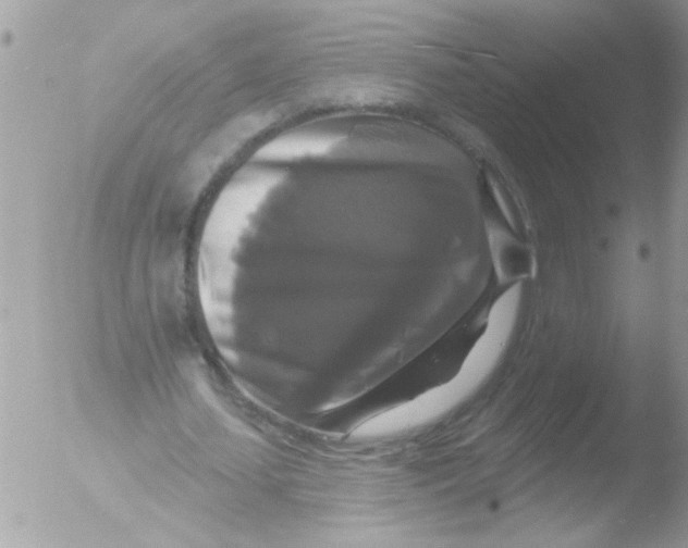 X0000051260627200507152216