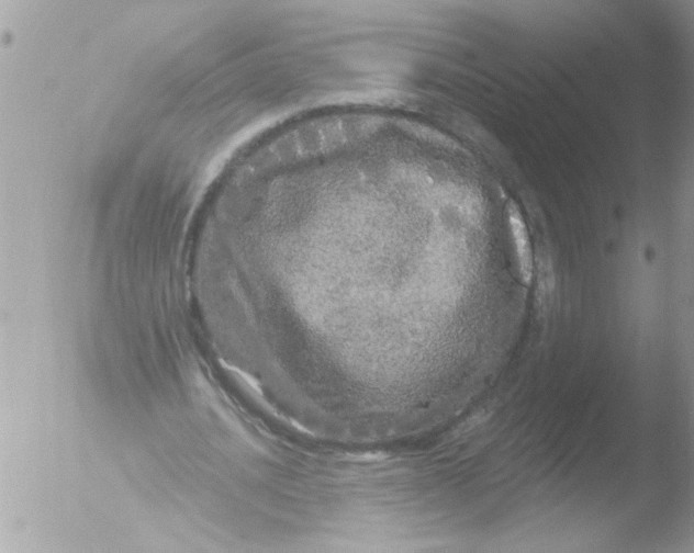 X0000051260628200507152216