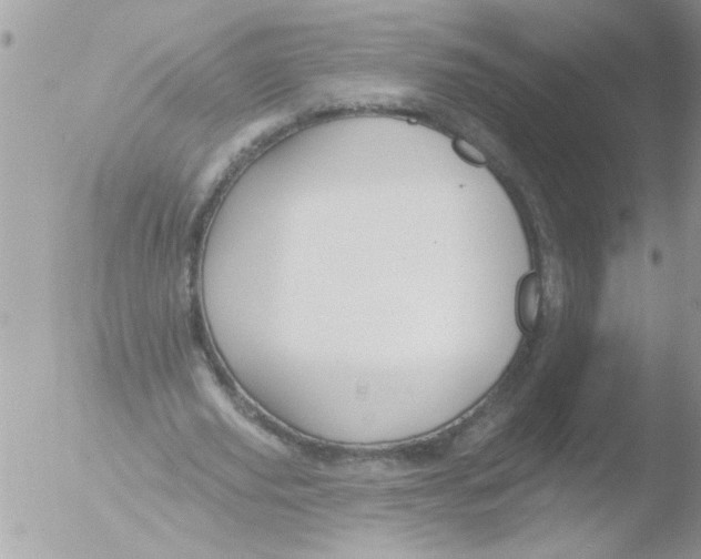 X0000051260629200507152216