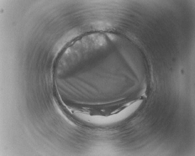 X0000051260630200507152216