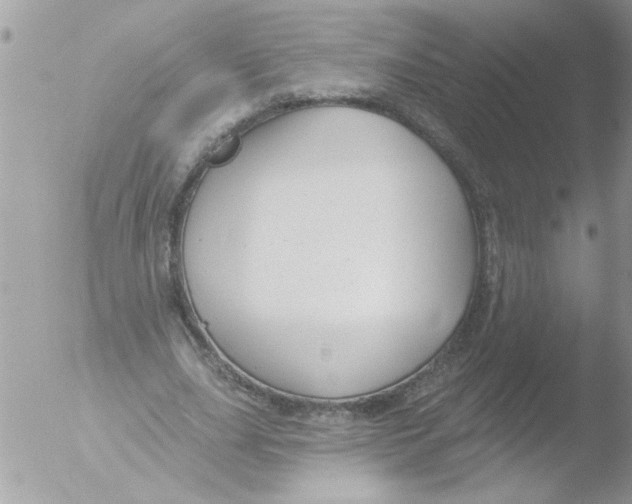 X0000051260631200507152216