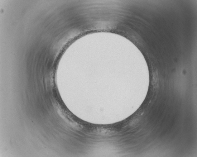 X0000051260632200507152216