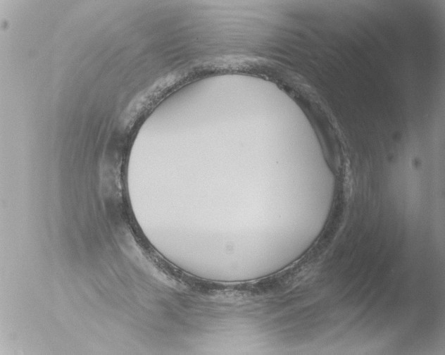 X0000051260633200507152216