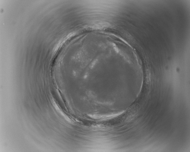 X0000051260634200507152216