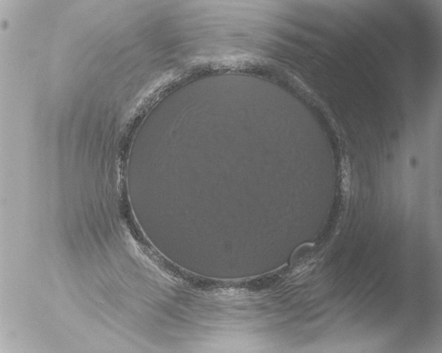 X0000051260637200507152217