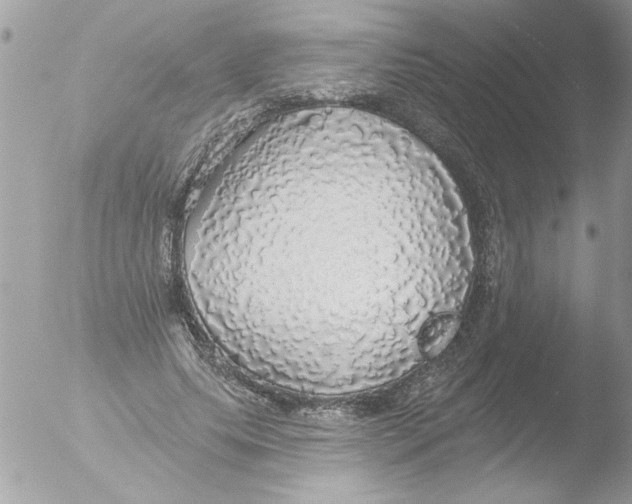 X0000051260639200507152217