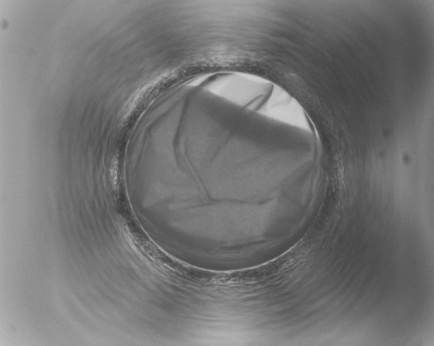 X0000051260640200507152217