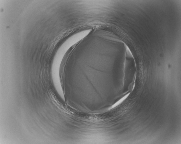 X0000051260641200507152217